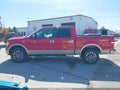 Photo 15 of 17 — 2009 Ford F-150