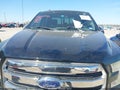 2016 Ford F-150 — photo 6 of 16 | VIN 1FTEW1EF7GKD51736