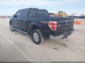 2013 Ford F-150 — photo 3 of 16 | VIN 1FTFW1ET9DKG18106
