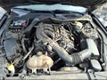 Photo 10 of 17 — 2016 Ford Mustang