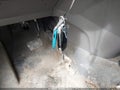 Photo 11 of 16 — 2022 Ford Transit Connect