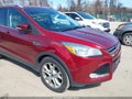 2015 Ford Escape — photo 6 of 12 | VIN 1FMCU0JXXFUA02803