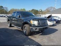 Photo 1 of 15 — 2010 Ford F-150
