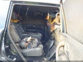 Photo 8 of 15 — 2016 Infiniti QX80