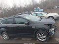 Photo 14 of 17 — 2013 Ford Escape