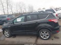Photo 15 of 17 — 2013 Ford Escape