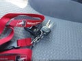 Photo 11 of 16 — 2004 Toyota 4Runner