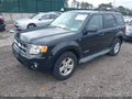Photo 2 of 12 — 2008 Ford Escape
