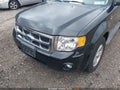 Photo 6 of 12 — 2008 Ford Escape