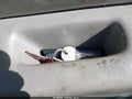 Photo 11 of 17 — 1997 Lexus ES 300