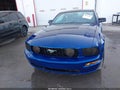 Photo 6 of 15 — 2006 Ford Mustang