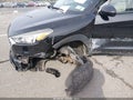Photo 6 of 16 — 2020 Hyundai Tucson