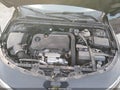 Photo 10 of 16 — 2019 Chevrolet Malibu Limited