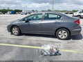 Photo 14 of 21 — 2013 Honda Civic