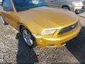 Photo 13 of 13 — 2010 Ford Mustang