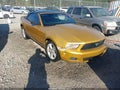 Photo 1 of 13 — 2010 Ford Mustang