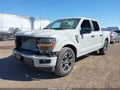 2024 Ford F-150 — photo 2 of 16 | VIN 1FTEW2KP8RKF33967