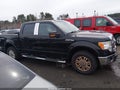 Photo 13 of 16 — 2009 Ford F-150