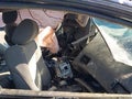 Photo 5 of 16 — 2010 Honda Civic