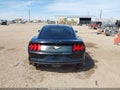 Photo 17 of 17 — 2015 Ford Mustang