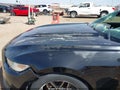 Photo 6 of 17 — 2015 Ford Mustang