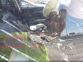 2024 Mazda CX-5 — photo 5 of 15 | VIN JM3KFBBM4R0354479