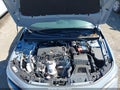 Photo 10 of 17 — 2024 Honda Civic