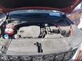 Photo 10 of 15 — 2025 Kia Sorento