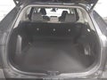 Photo 20 of 20 — 2022 Toyota RAV4