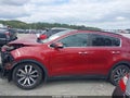 2019 Kia Sportage — photo 14 of 16 | VIN KNDPN3AC5K7510638