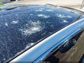 Photo 20 of 22 — 2020 Tesla Model X