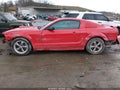 2005 Ford Mustang — photo 18 of 19 | VIN 1ZVFT82H155209774