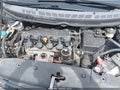 2010 Honda Civic — photo 10 of 14 | VIN 19XFA1F65AE033108