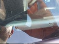 Photo 17 of 17 — 2023 Jeep Wrangler