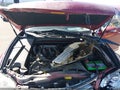 Photo 10 of 16 — 2012 Lexus ES 350