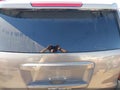 Photo 17 of 17 — 2018 Chevrolet Tahoe