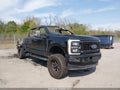 Photo 1 of 10 — 2023 Ford F-250