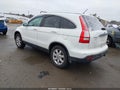 2009 Honda CR-V — photo 2 of 10 | VIN JHLRE48769C013576