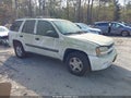 2003 Chevrolet Trailblazer — photo 1 of 11 | VIN 1GNDT13S432105734