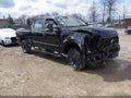 Photo 1 of 17 — 2024 Ford F-250