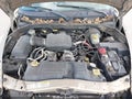 Photo 10 of 14 — 2004 Dodge Dakota