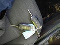 Photo 16 of 20 — 2025 Ford Maverick