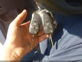 Photo 11 of 16 — 2024 Ford Transit-250