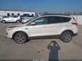 Photo 12 of 14 — 2013 Ford Escape