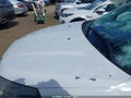 Photo 6 of 19 — 2016 Chevrolet Traverse