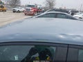 Photo 19 of 21 — 2024 Honda Civic
