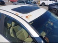 2004 Acura TSX — photo 6 of 11 | VIN JH4CL96904C029662