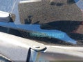 2022 Honda CR-V — photo 9 of 15 | VIN 5J6RW2H5XNA016123
