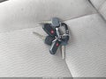 2007 Toyota Corolla — photo 11 of 13 | VIN 1NXBR32E17Z787273
