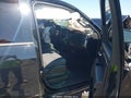 Photo 5 of 17 — 2018 Chevrolet Silverado 1500